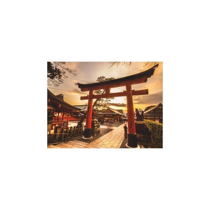 Rundreisen Japan: Faszination zwischen Zen, Tempeln und Wolkenkratzern