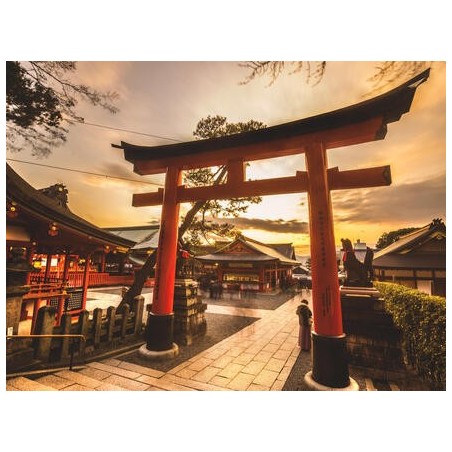 Rundreisen Japan: Faszination zwischen Zen, Tempeln und Wolkenkratzern