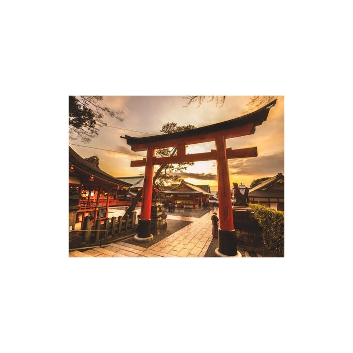 Rundreisen Japan: Faszination zwischen Zen, Tempeln und Wolkenkratzern