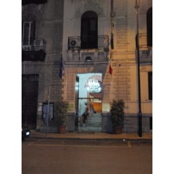 Hotel Tonic