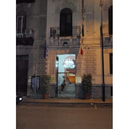 Hotel Tonic
