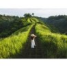 Rundreisen Indonesien - Bali, Nusa Penida & Nusa Lembongan: Kulturelle Schätze und paradiesische Inseln entdecken