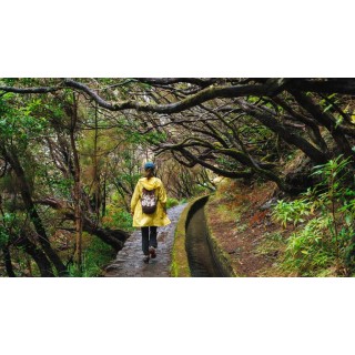 Rundreisen Portugal - Madeira: Wanderreise von Porto da Cruz bis Calheta