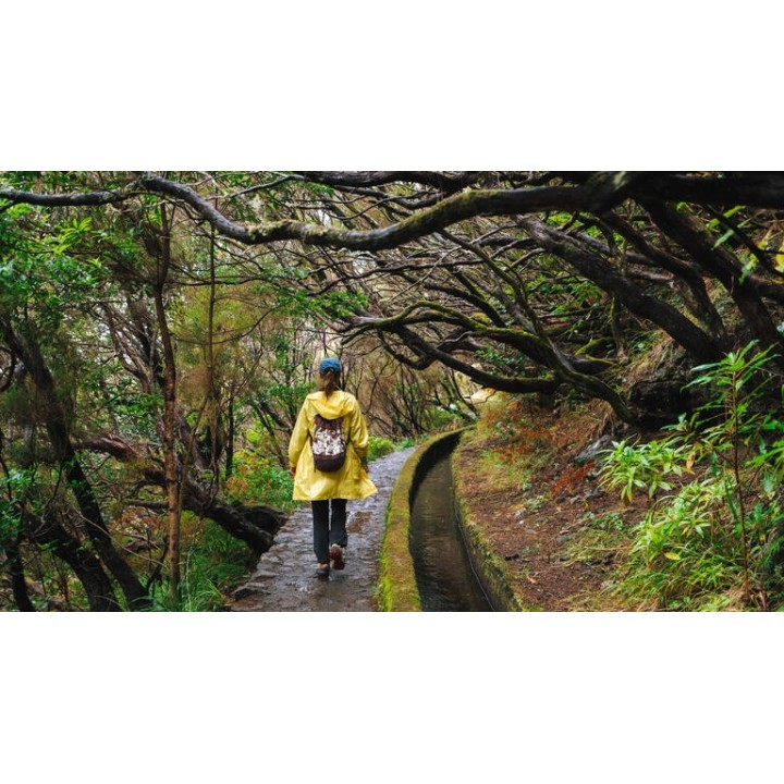 Rundreisen Portugal - Madeira: Wanderreise von Porto da Cruz bis Calheta