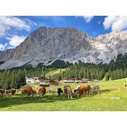 Eigene Anreise Deutschland & Österreich - Zugspitze: Erlebnisse von der Partnachklamm bis zum Eibsee