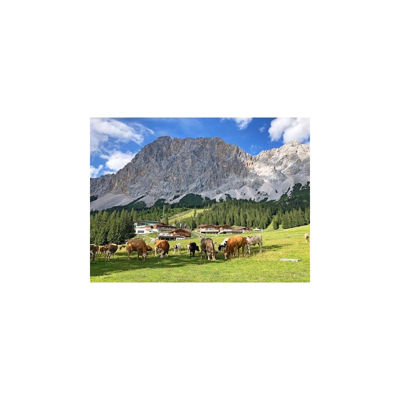 Eigene Anreise Deutschland & Österreich - Zugspitze: Erlebnisse von der Partnachklamm bis zum Eibsee