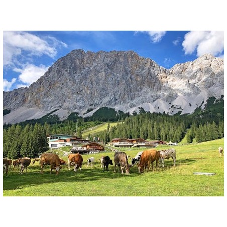 Eigene Anreise Deutschland & Österreich - Zugspitze: Erlebnisse von der Partnachklamm bis zum Eibsee