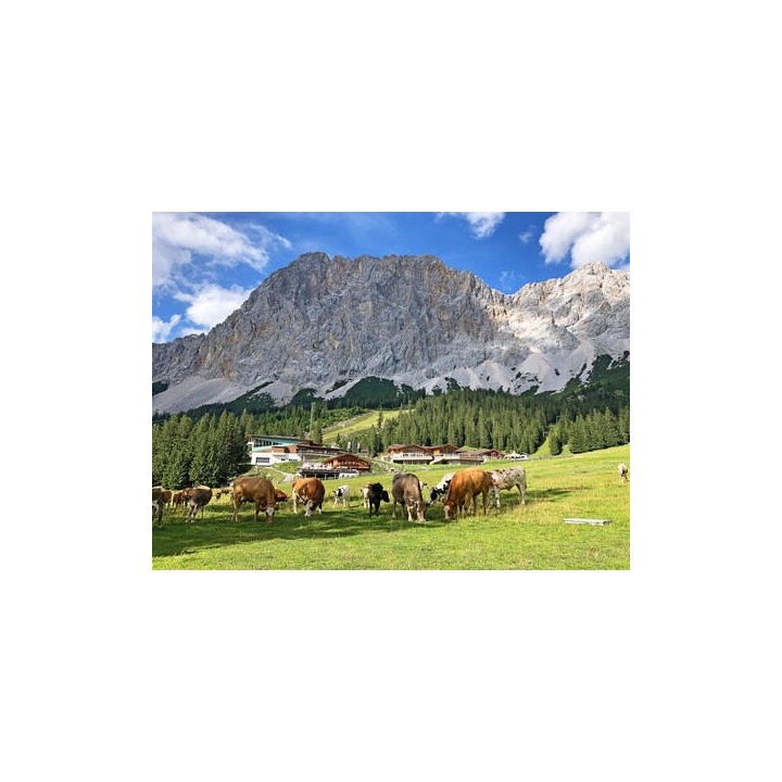 Eigene Anreise Deutschland & Österreich - Zugspitze: Erlebnisse von der Partnachklamm bis zum Eibsee