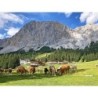 Eigene Anreise Deutschland & Österreich - Zugspitze: Erlebnisse von der Partnachklamm bis zum Eibsee