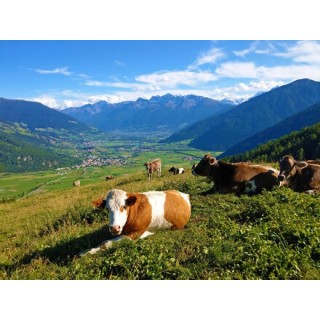 Eigene Anreise Italien - Südtirol: Abenteuerpfade und atemberaubende Aussichten