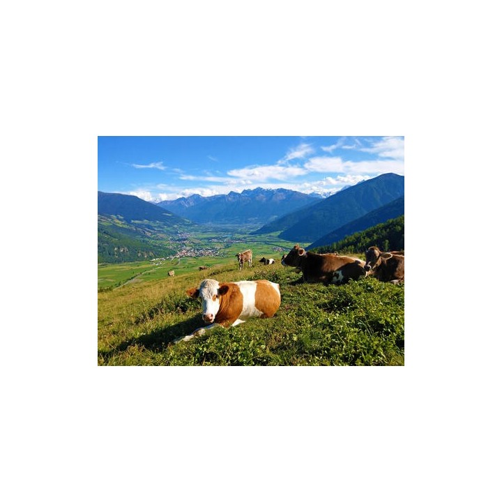 Eigene Anreise Italien - Südtirol: Abenteuerpfade und atemberaubende Aussichten