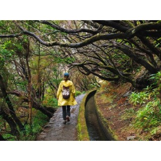 Rundreisen Portugal - Madeira: Wandern zwischen Steilklippen und Blütenpracht