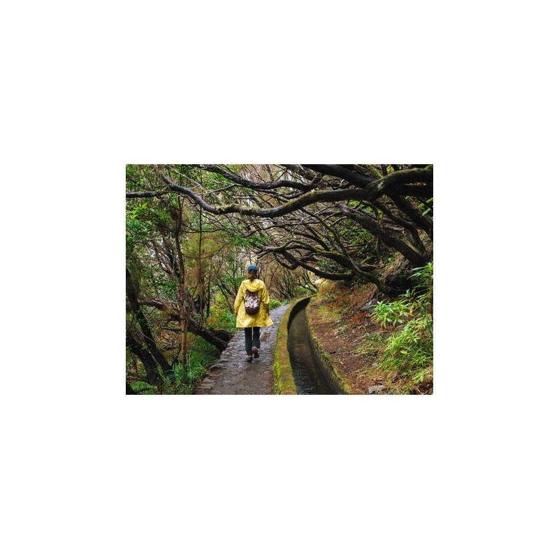 Rundreisen Portugal - Madeira: Wandern zwischen Steilklippen und Blütenpracht