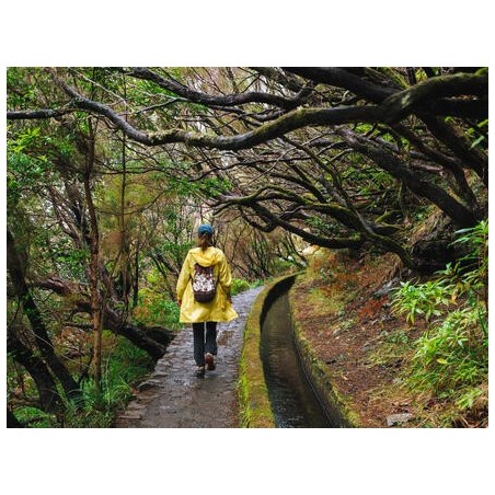 Rundreisen Portugal - Madeira: Wandern zwischen Steilklippen und Blütenpracht