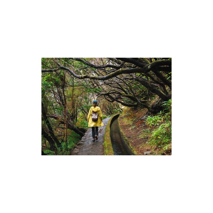 Rundreisen Portugal - Madeira: Wandern zwischen Steilklippen und Blütenpracht