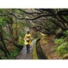 Rundreisen Portugal - Madeira: Wandern zwischen Steilklippen und Blütenpracht
