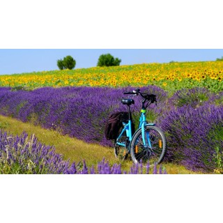 Eigene Anreise Frankreich - Provence: Auf den Spuren der Römer radeln