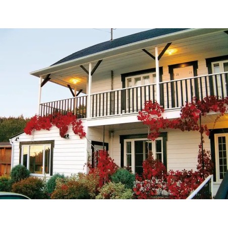 Hotel Georges De Tadoussac