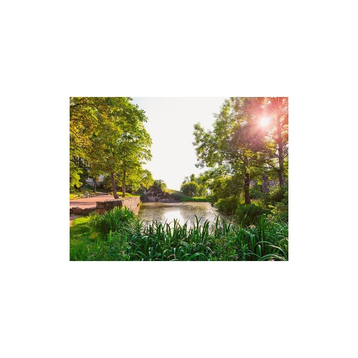 Rundreisen Finnland: Standort-Rundreise in Savonlinna im SPA-Hotel Casino