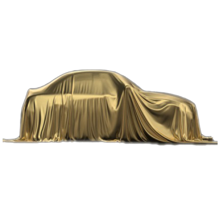 MYSTERY CAR - PETROL/DIESEL/EV