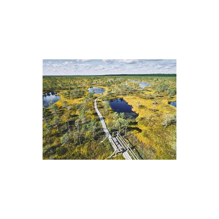 Kombinationsreisen Baltikum: Rundreise ab/an Riga