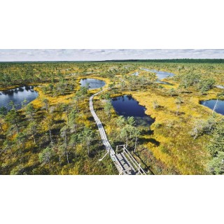 Rundreisen Baltikum: Geschichte, Natur und Kultur in drei Ländern