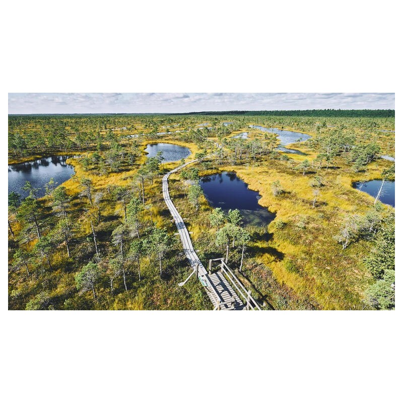 Rundreisen Baltikum: Geschichte, Natur und Kultur in drei Ländern