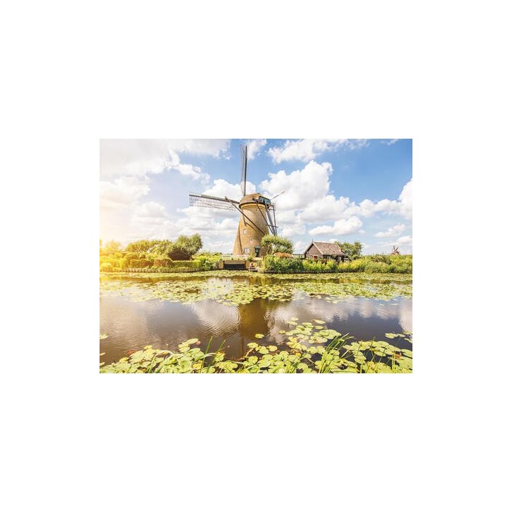 Kreuzfahrten Niederlande & Belgien: Flusskreuzfahrt per Rad & Schiff mit MS De Holland ab Amsterdam bis Brügge