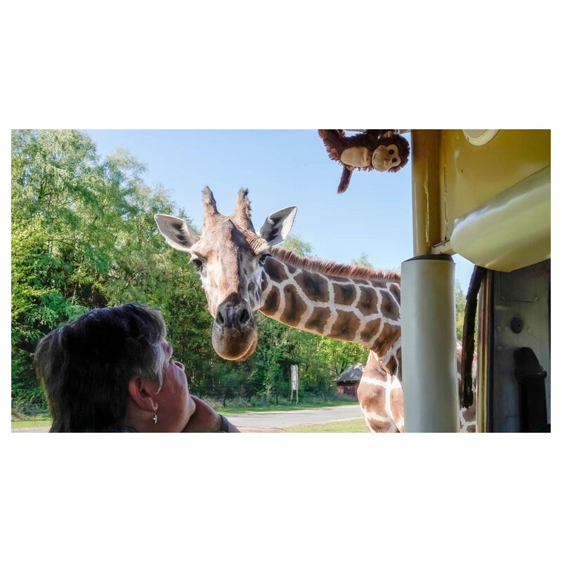Eigene Anreise Hodenhagen: Abenteuer im Serengeti-Park Hodenhagen