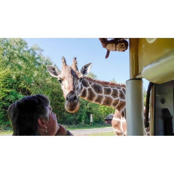 Eigene Anreise Hodenhagen: Abenteuer im Serengeti-Park Hodenhagen