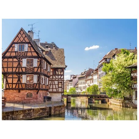 Kreuzfahrten Rhein: Flusskreuzfahrt mit A-ROSA CLEA ab/an Frankfurt