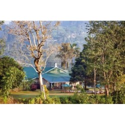 Ceylon Tea Trails