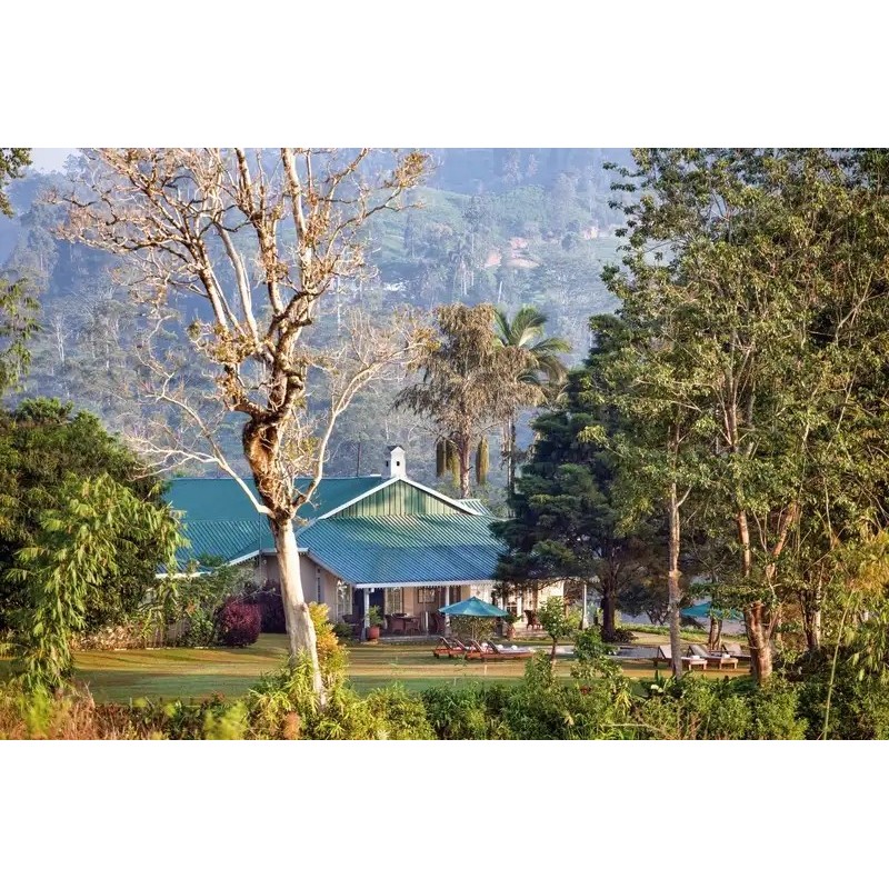Ceylon Tea Trails