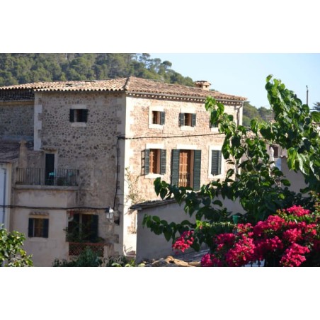Hotel Nord