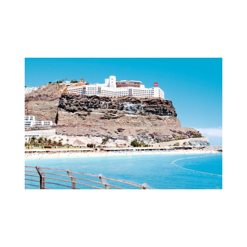 Hotel Riu Vistamar