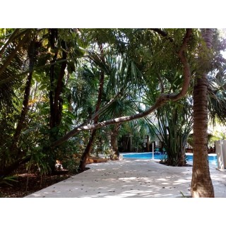 Sotavento Hotel & Yacht Club