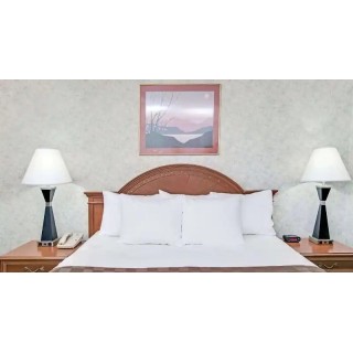 Days Inn by Wyndham Los Angeles LAX/Redondo & Manhattan Bch