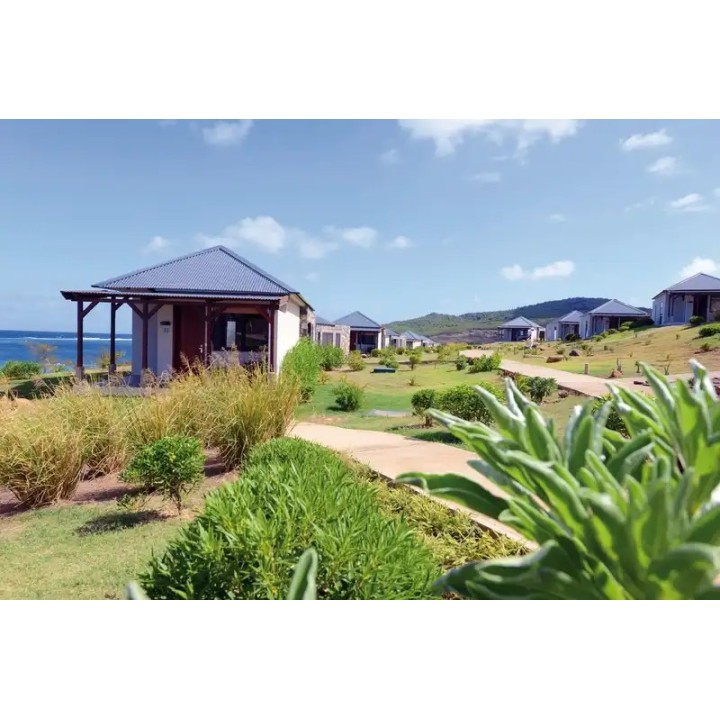 Constance Tekoma Rodrigues