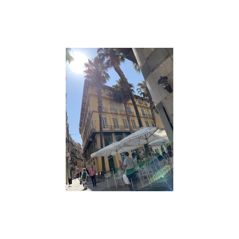 Hotel Don Curro