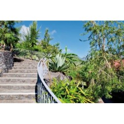 Les Jardins D'héva