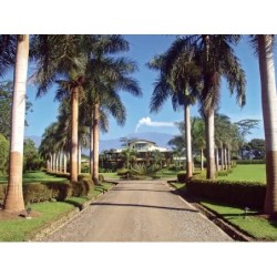 Casa Turire