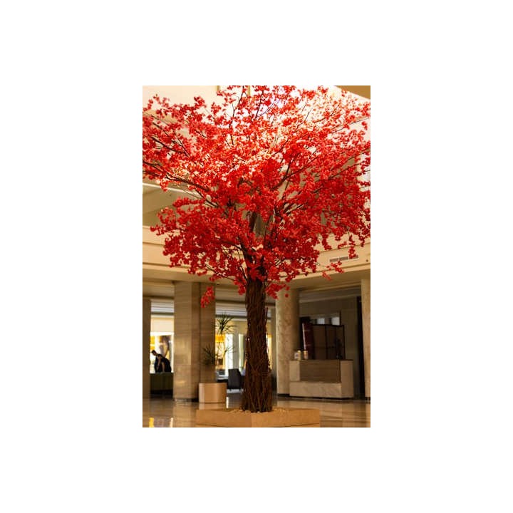 Amarina Abu Soma Resort & Aquapark