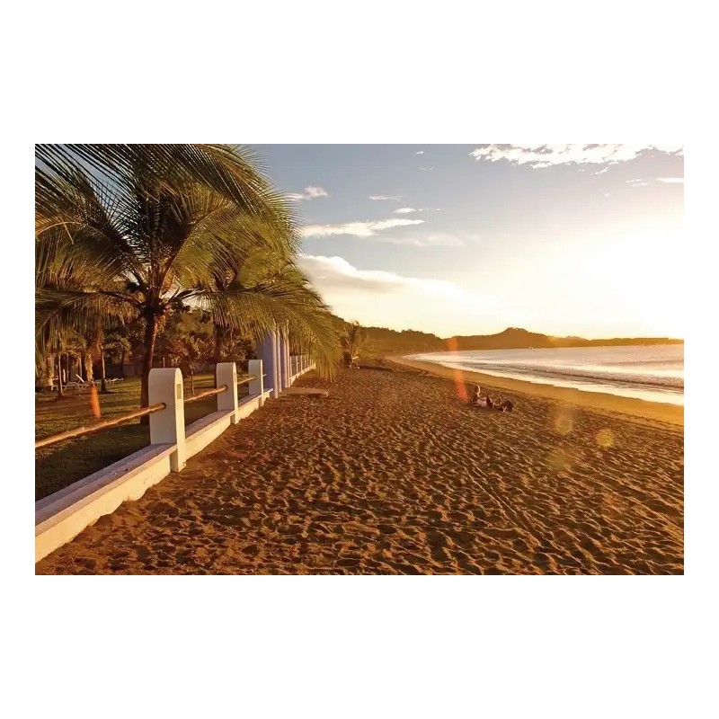 Bahia del Sol Beachfront Boutique Hotel