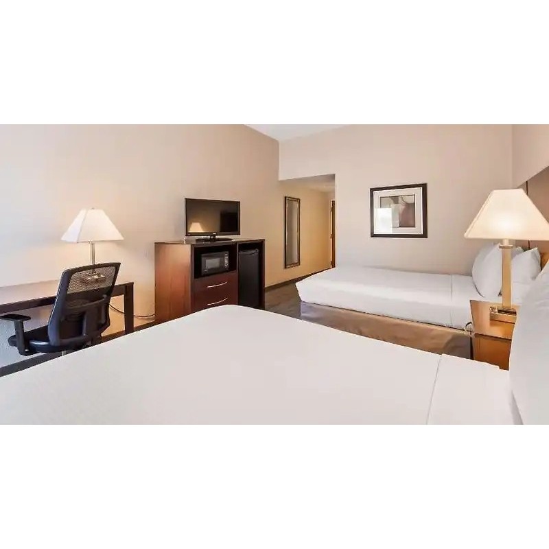 Best Western Tampa