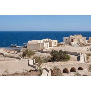 The Oasis Dive Resort