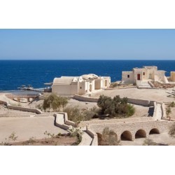 The Oasis Dive Resort
