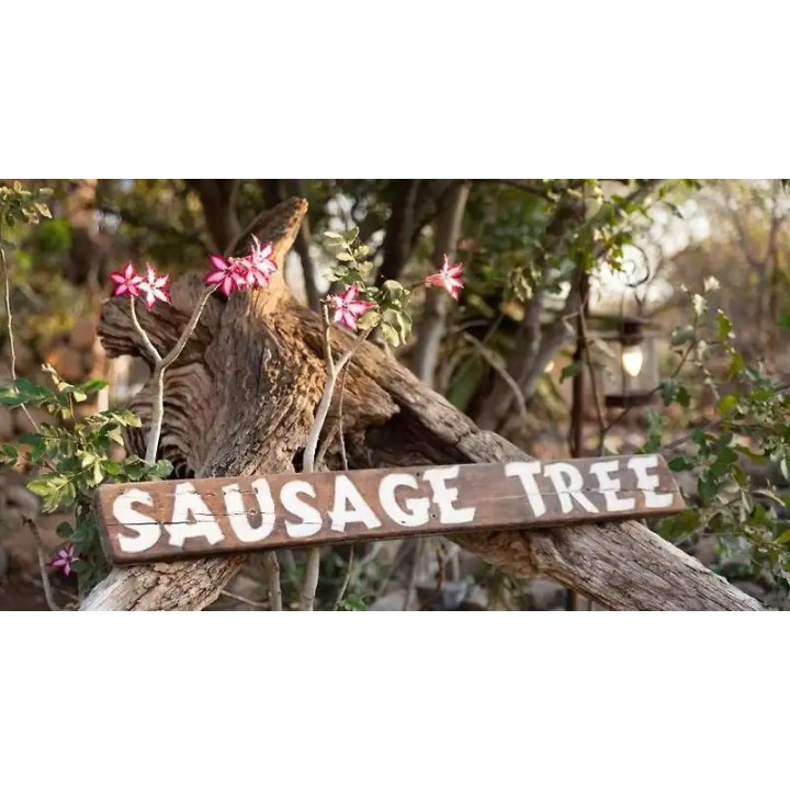 Sausage Tree Safari Camp