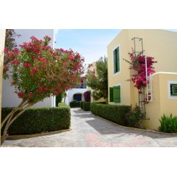 Kefalos Beach Holiday Village