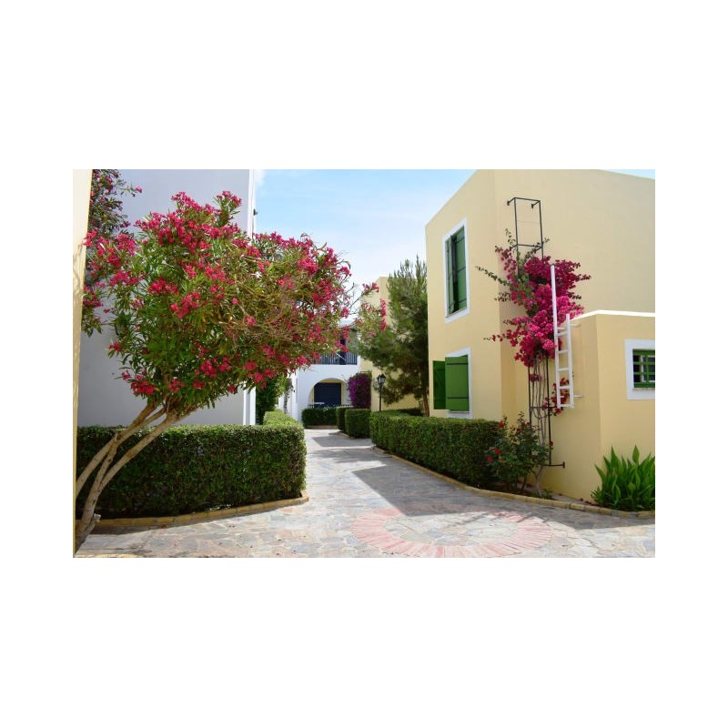 Kefalos Beach Holiday Village