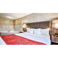 Comfort Inn & Suites South